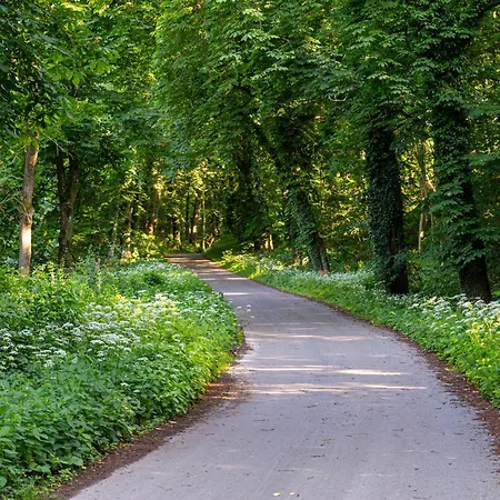 Wellnessparadies Mit Sauna Und Whirlpool 펜션