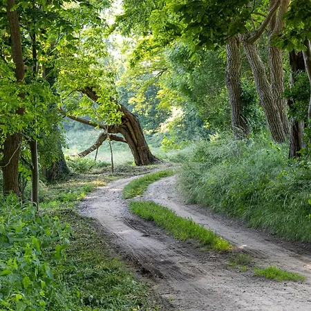Wellnessparadies Mit Sauna Und Whirlpool 펜션 *