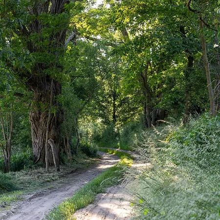 Wellnessparadies Mit Sauna Und Whirlpool *