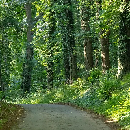 Wellnessparadies Mit Sauna Und Whirlpool * 크라코프암지