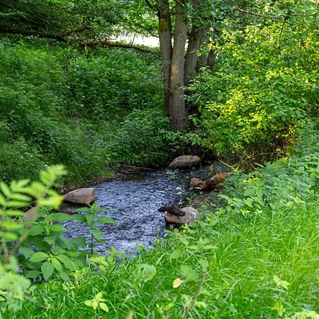 Wellnessparadies Mit Sauna Und Whirlpool