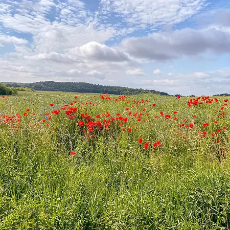 Wellnessparadies Mit Sauna Und Whirlpool 펜션 *