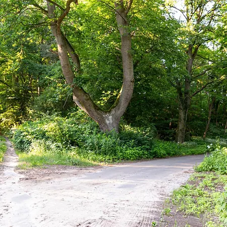 펜션 Wellnessparadies Mit Sauna Und Whirlpool *