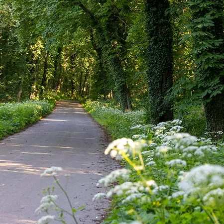 Wellnessparadies Mit Sauna Und Whirlpool * 크라코프암지