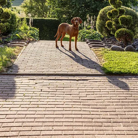 Wellnessparadies Mit Sauna Und Whirlpool Hébergement de vacances *