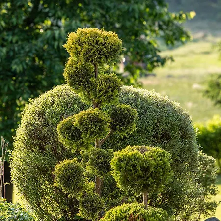 Wellnessparadies Mit Sauna Und Whirlpool