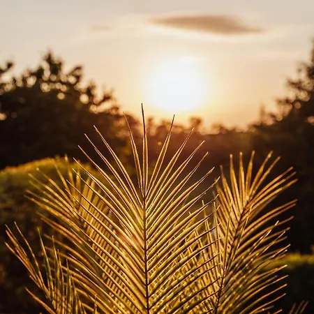 Wellnessparadies Mit Sauna Und Whirlpool Hébergement de vacances