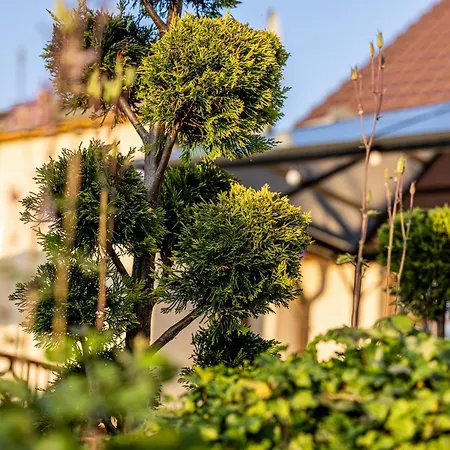 Wellnessparadies Mit Sauna Und Whirlpool * 크라코프암지