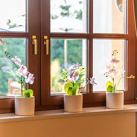 Wellnessparadies Mit Sauna Und Whirlpool * 크라코프암지