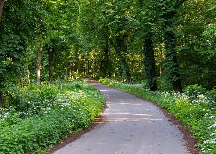 Wellnessparadies Mit Sauna Und Whirlpool 別荘