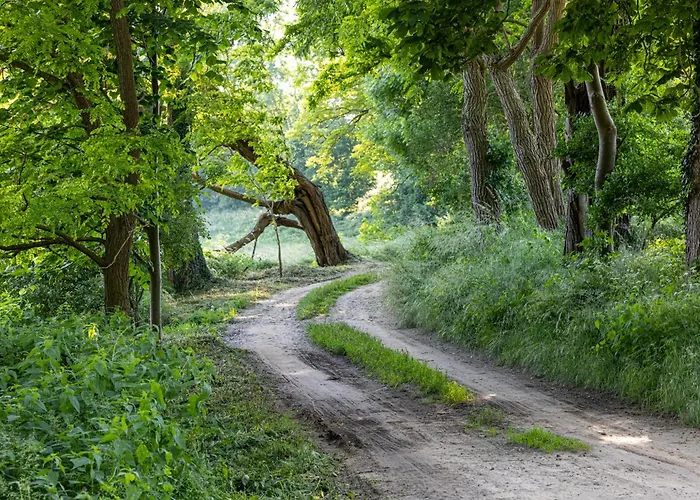 Wellnessparadies Mit Sauna Und Whirlpool 別荘 *