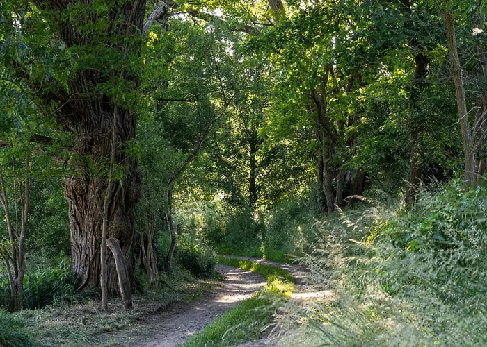 Wellnessparadies Mit Sauna Und Whirlpool *