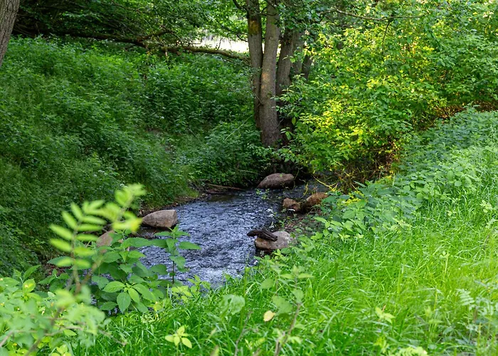 Wellnessparadies Mit Sauna Und Whirlpool