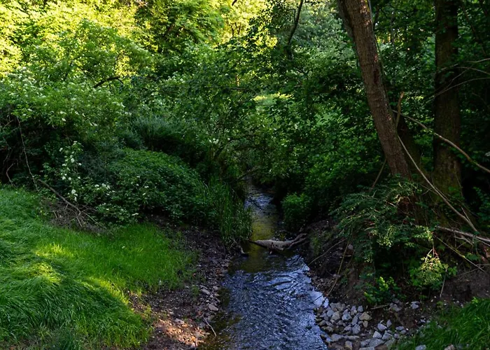 Wellnessparadies Mit Sauna Und Whirlpool 別荘