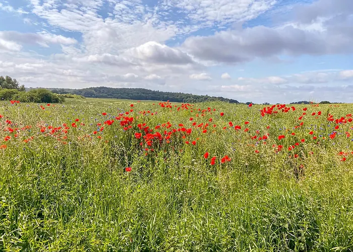 Wellnessparadies Mit Sauna Und Whirlpool 別荘 *