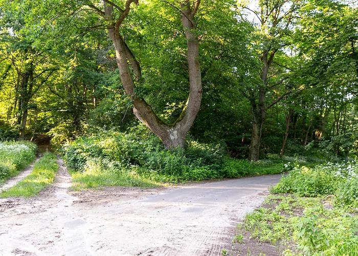 別荘 Wellnessparadies Mit Sauna Und Whirlpool *