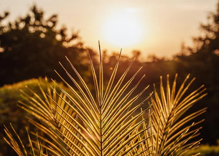 Wellnessparadies Mit Sauna Und Whirlpool 別荘