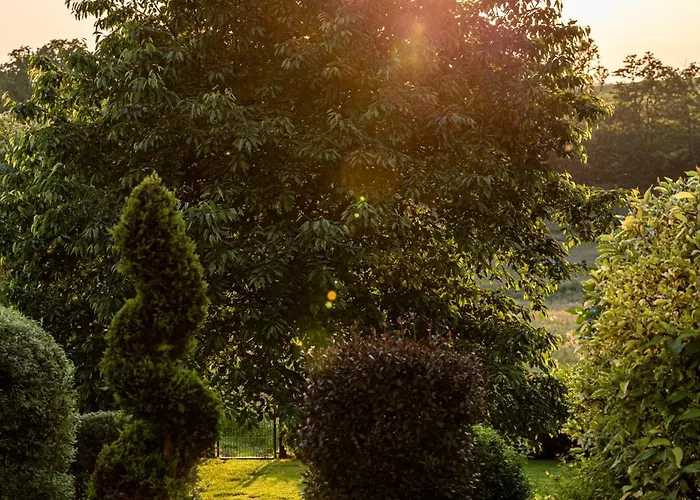 Wellnessparadies Mit Sauna Und Whirlpool * クラーコー・アム・ゼー